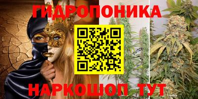 спиды Ипатово