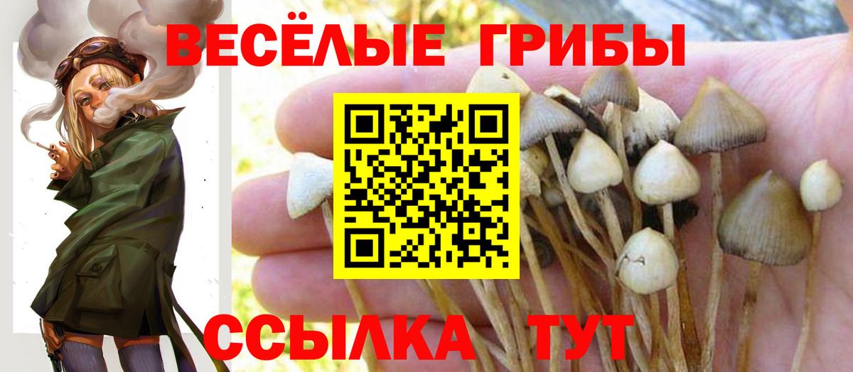 Псилоцибиновые грибы мухоморы  Вход с VPN  Геленджик  Псилоцибиновые грибы GOLDEN TEACHER 