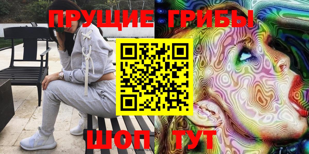 Галлюциногенные грибы Psilocybe Геленджик